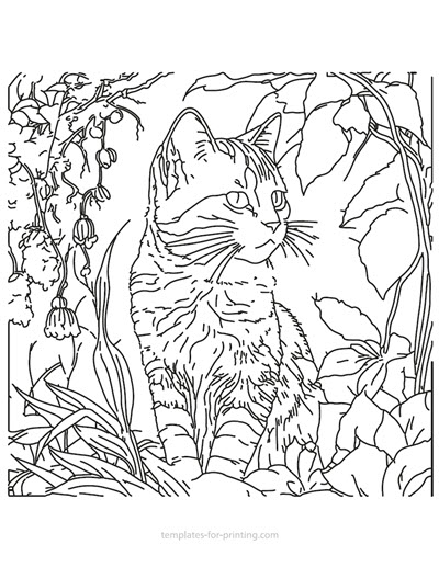 Preview cat-006 for printing