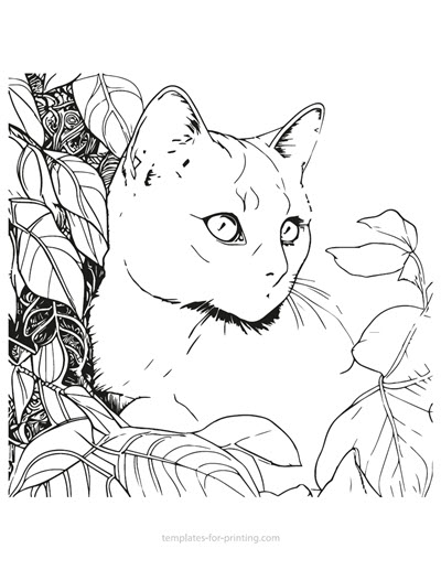 Preview cat-007 for printing